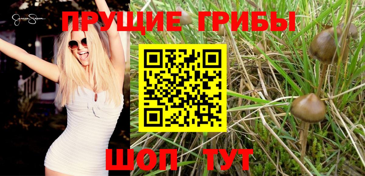 Галлюциногенные грибы Magic Shrooms Санкт-Петербург