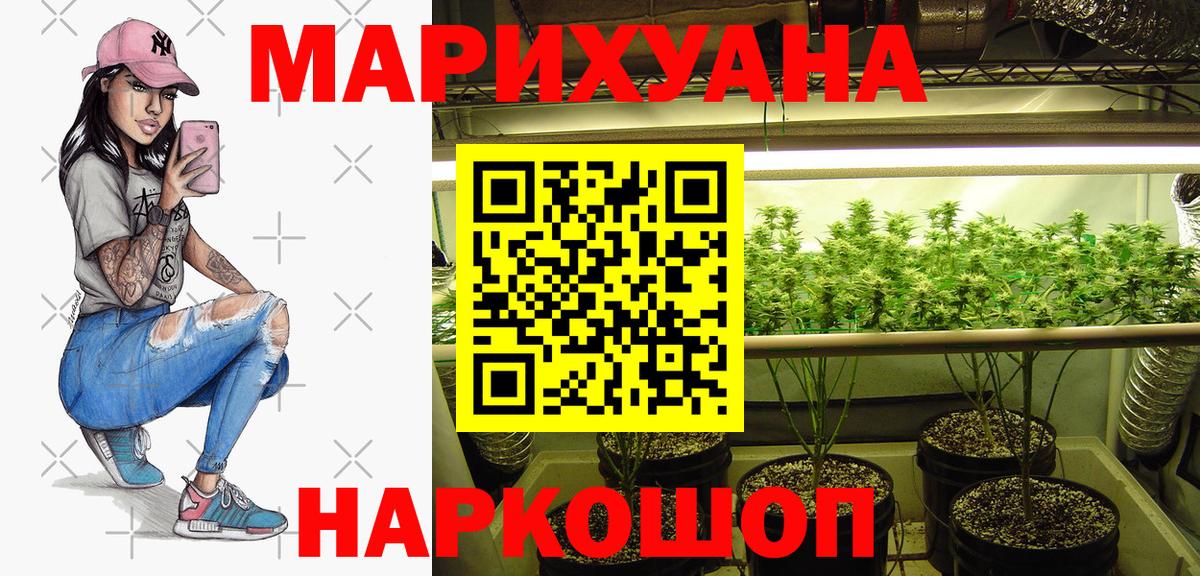 Санкт-Петербург  Бошки Шишки план  Вход с VPN  Конопля тримм 